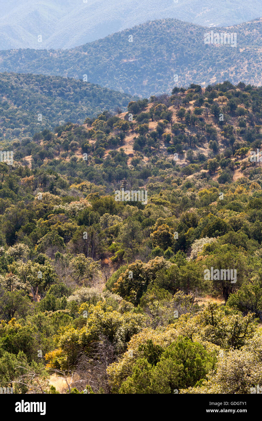 Die Ausläufer der Santa Rita Mountains beschichtet in Eiche, Wacholder und Pinyon Kiefern. Coronado National Forest, Arizona Stockfoto