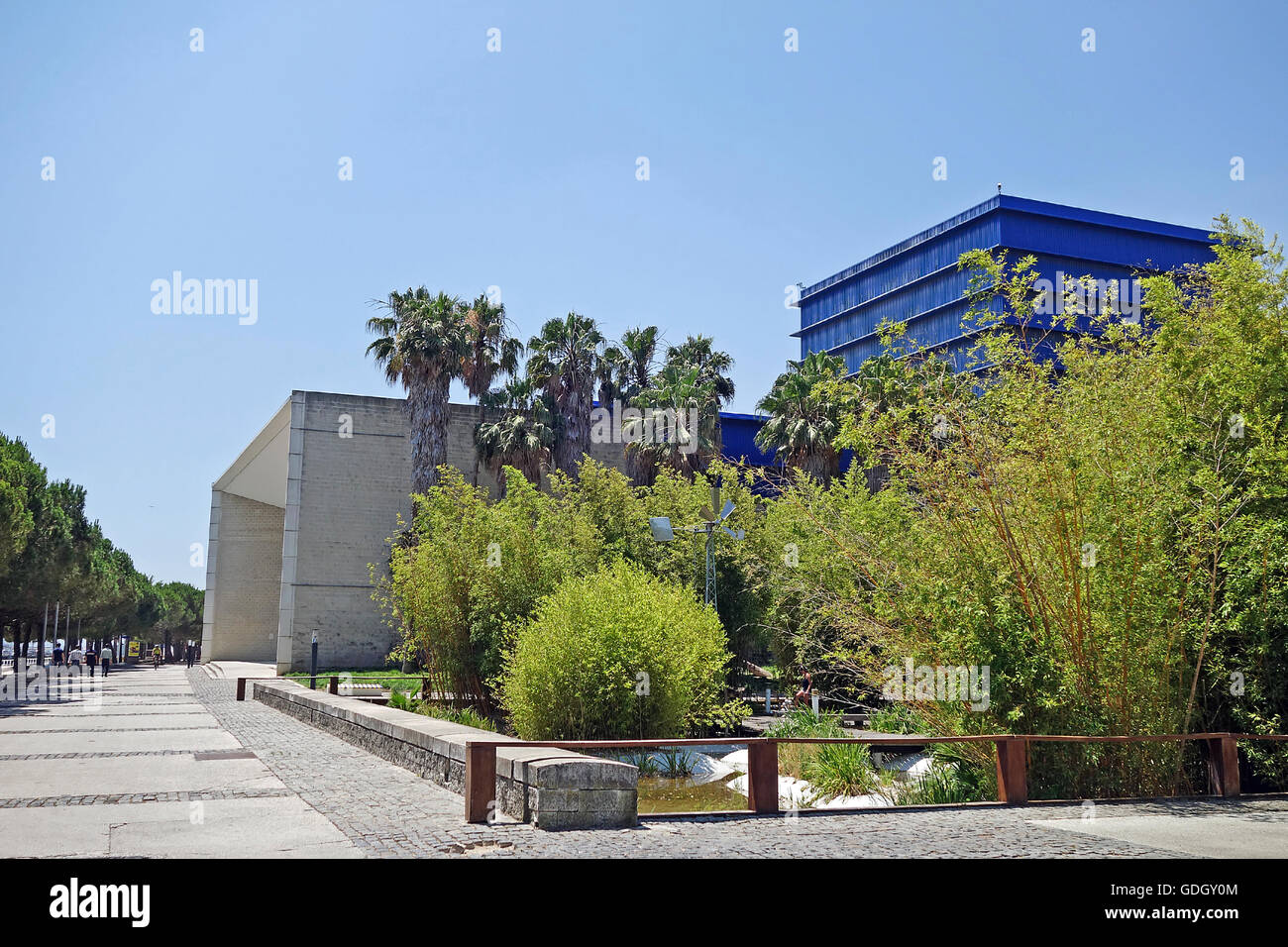 Lissabon, PORTUGAL - 16. Juni 2015: Camoes Theater hinter Palmen. Angefangen vom Lissabon-Symphonie-Orchester verwendet wird. Stockfoto