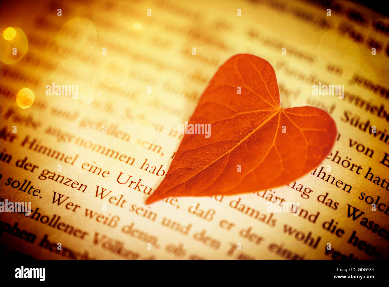 Herzförmiges Blatt in einem Buch Stockfoto