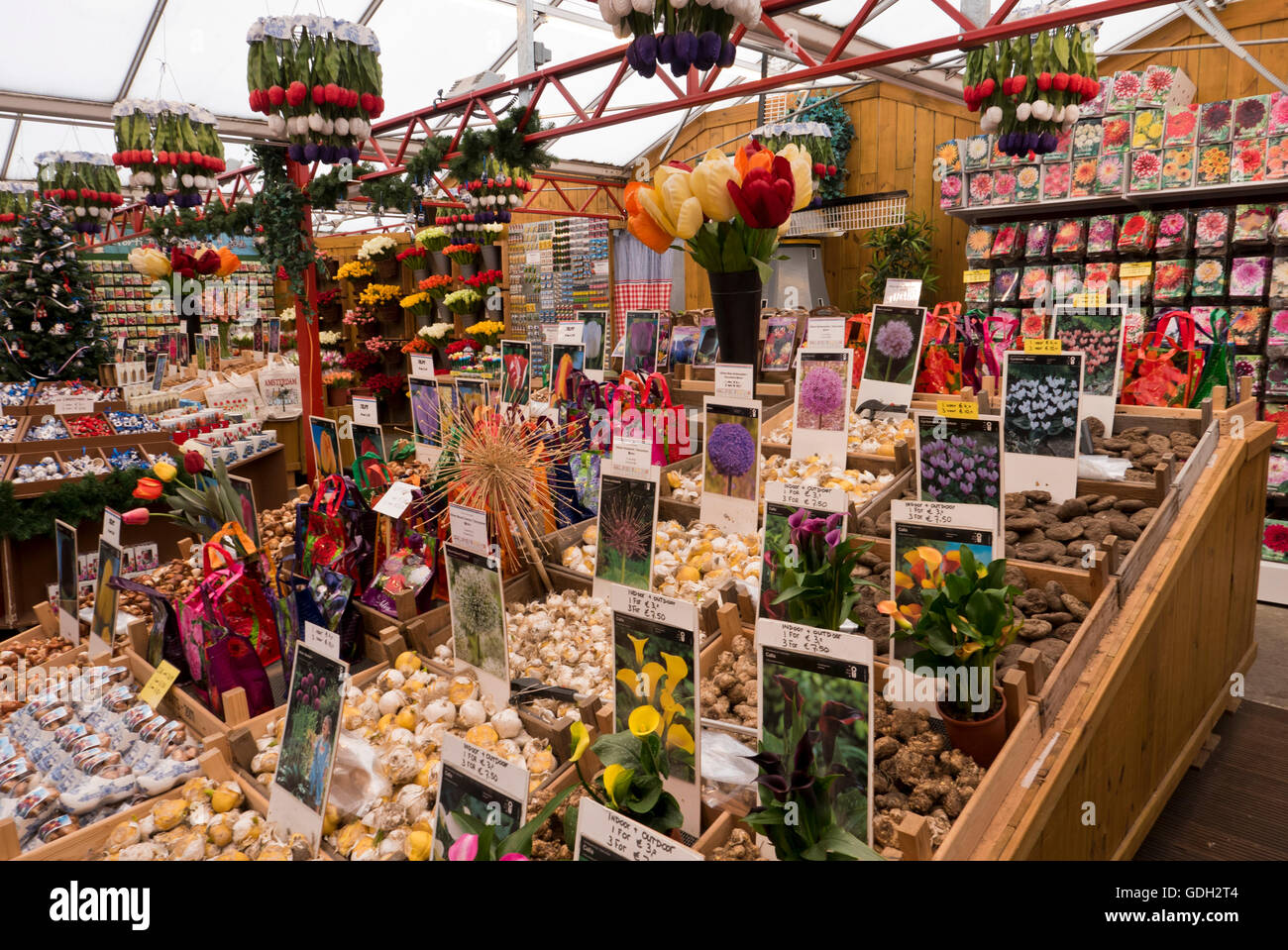 Frische Tulpen, Blumenzwiebeln, knstliche Blumen sind zum Verkauf auf dem  schwimmenden Markt (Bloemenmarkt) Amsterdam, Holland, Niederlande  Stockfotografie - Alamy