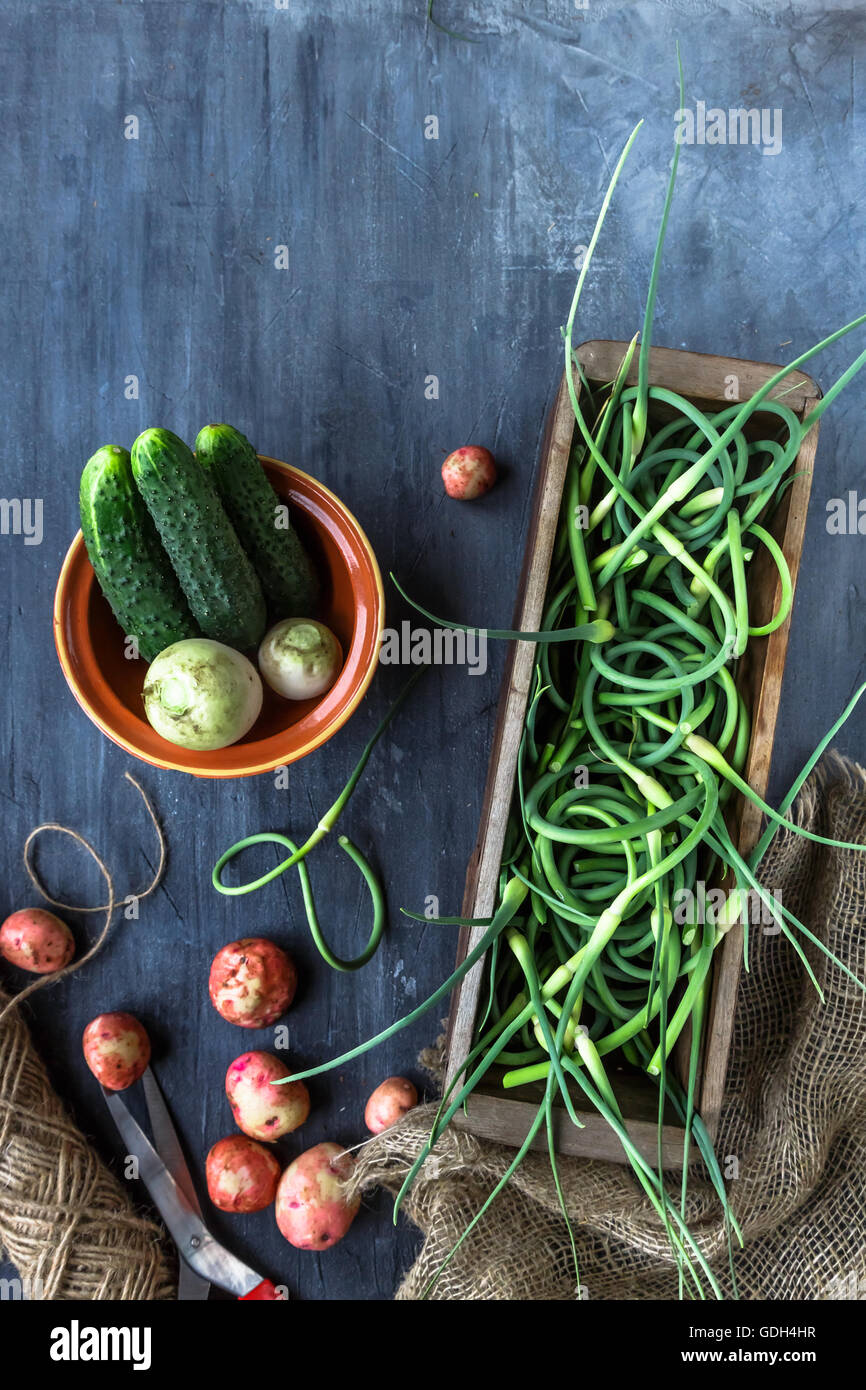 Frischer Knoblauch Scapes, Kartoffeln und Gurken, Ansicht von oben Platz für text Stockfoto