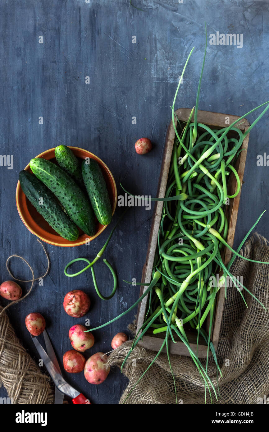 Frischer Knoblauch Scapes, Kartoffeln und Gurken, Ansicht von oben Platz für text Stockfoto