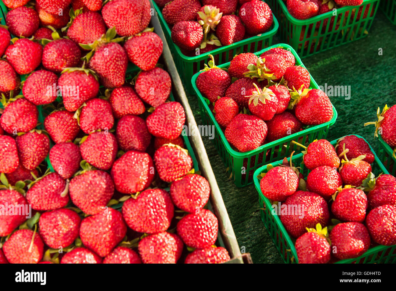 Frische Erdbeeren in Körben auf dem Markt (Tiefenschärfe) Stockfoto