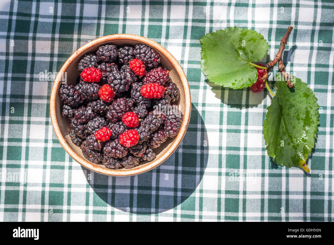 Tasse voll von bunten Maulbeeren auf einem Tisch im Garten Stockfoto