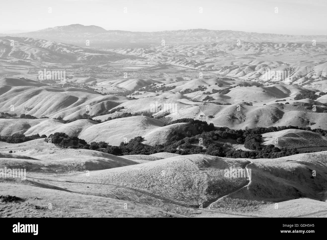 Sanften Hügeln in der East Bay Regionalparks, California Stockfoto