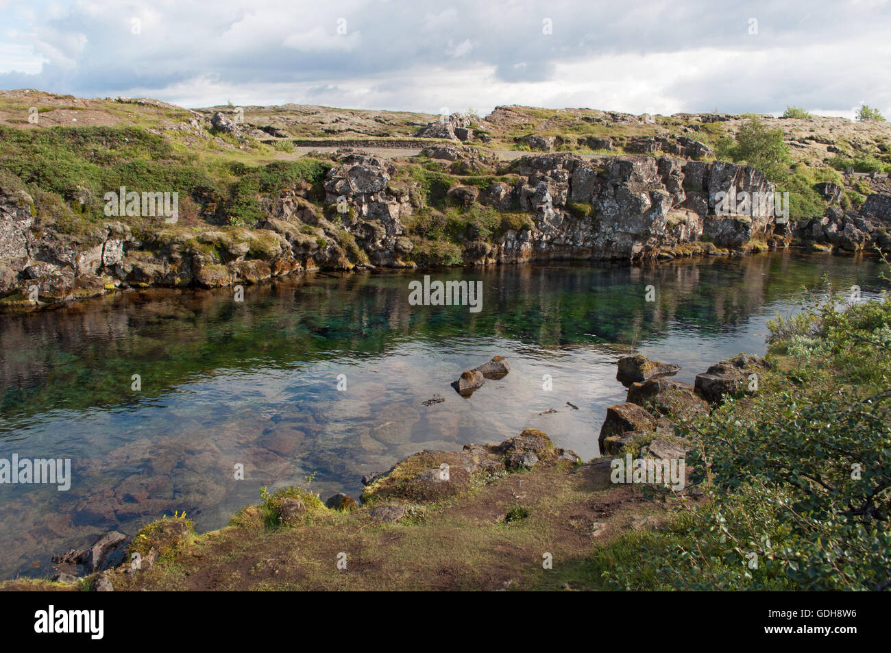 Island: ein Strom von sehr klarem Wasser im Nationalpark Thingvellir Stockfoto