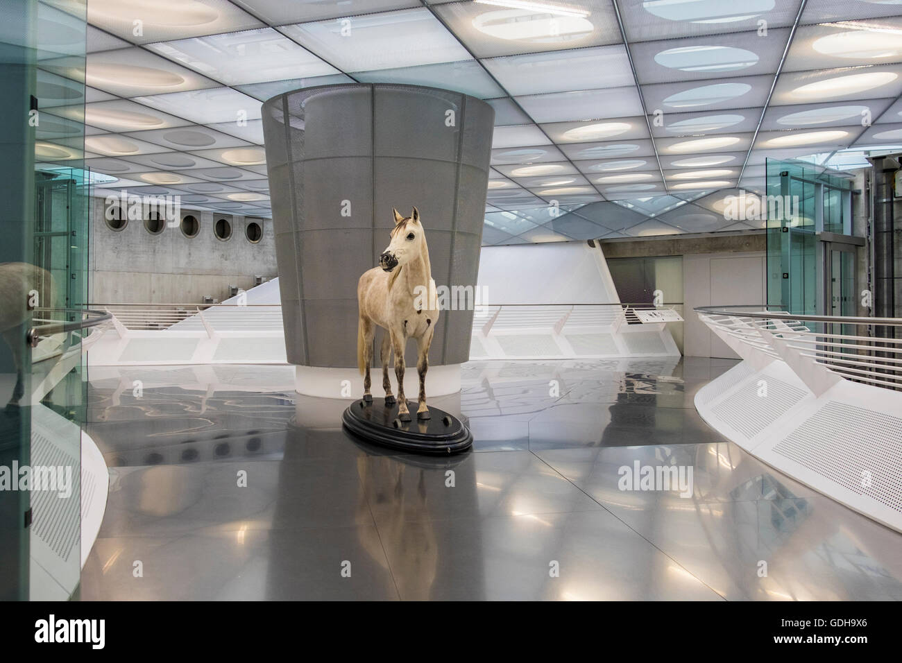 Mercedes-Benz Museum innen, Stuttgart, Deutschland. Ein weißes Pferd ist die erste Ausstellung in modernen Interieur Stockfoto