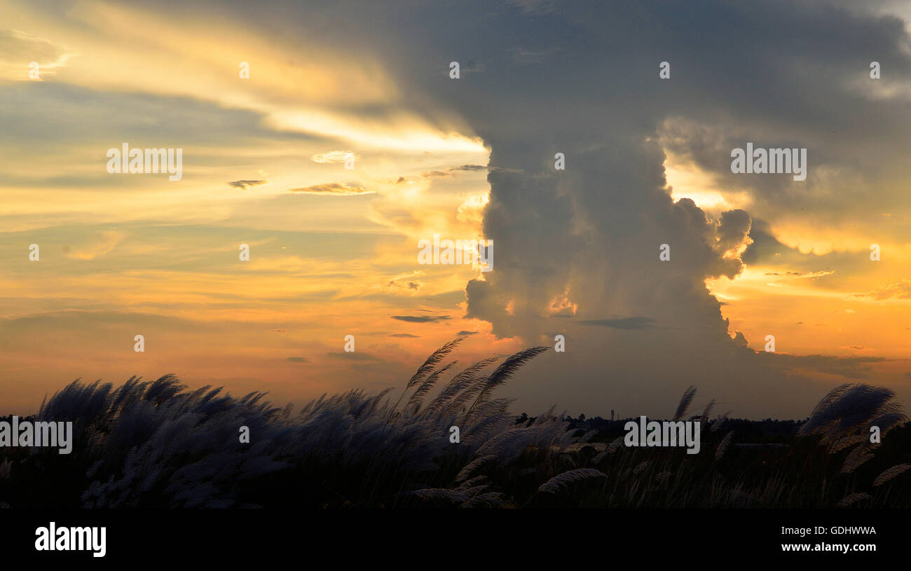 Ländliche Skyscapes bei Sonnenuntergang, Westbengalen, Indien Stockfoto