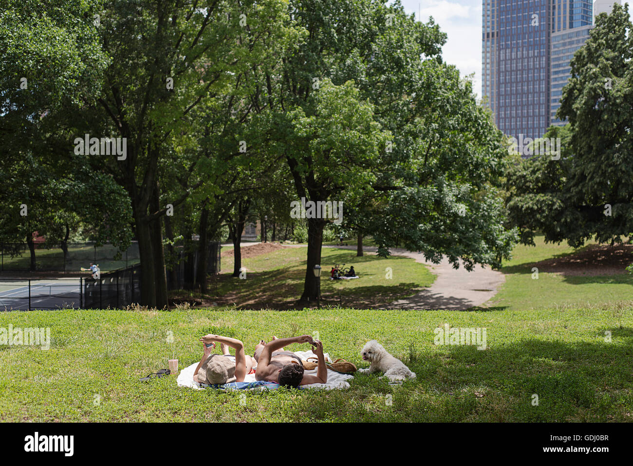 Ein paar hanging out in Fort Greene Park, lesen ihre Iphones. Stockfoto