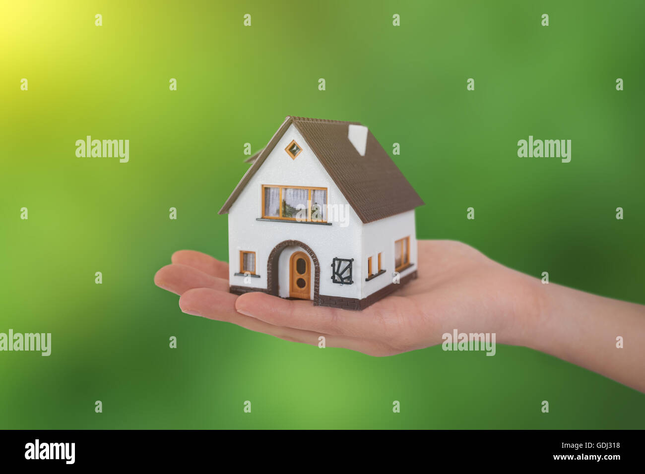 Haus in den Händen auf grün Hintergrund Stockfoto