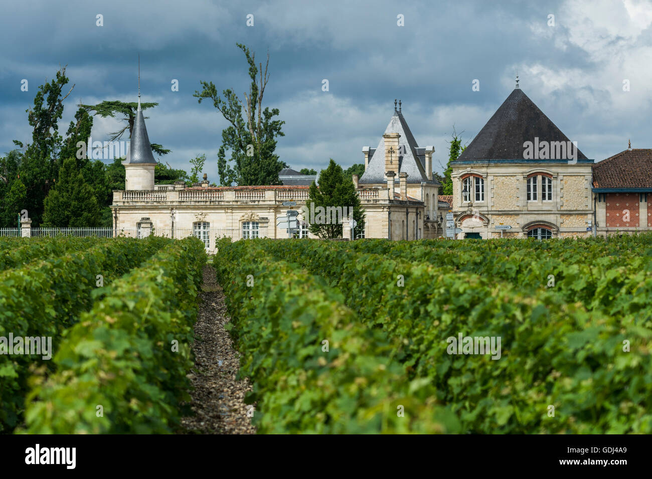 Château Marojallia, Margaux, Gironde, Frankreich Stockfoto