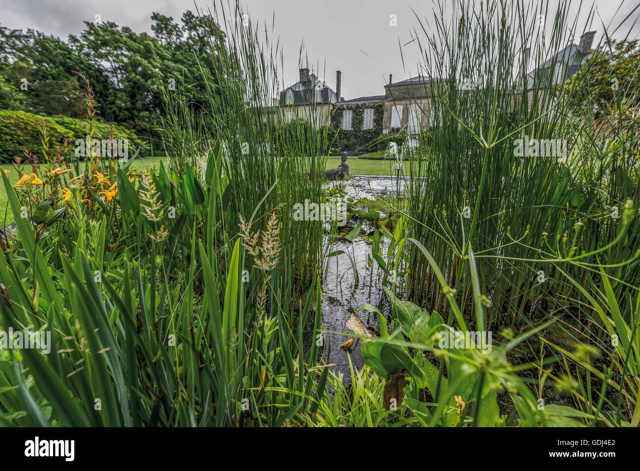 Park des Château Gruaud-Larose, Saint-Julien, Gironde, Frankreich Stockfoto