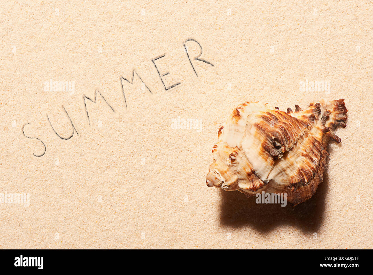 Muschel und Sommer Schriftzug auf Sand gezeichnet. Sommer Strand Hintergrund. Ansicht von oben Stockfoto