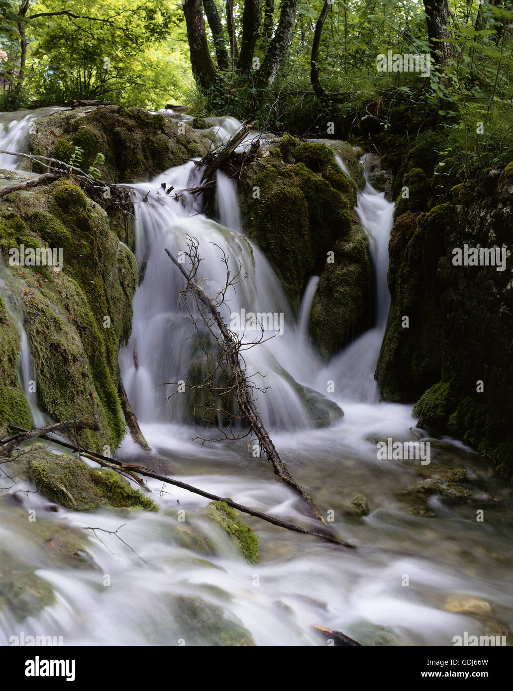 Geographie / Reisen, Kroatien, Landschaft / Landschaften, Nationalpark Plitvicer Seen, Wasserfall, Stockfoto