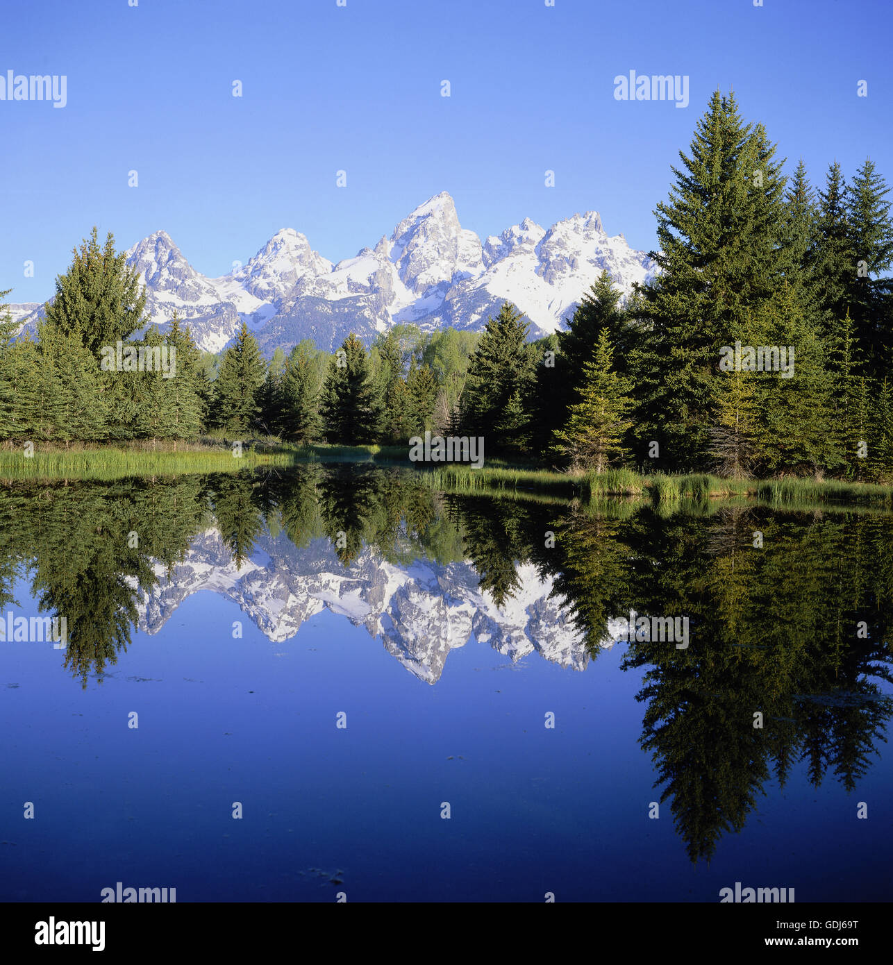 Geographie / Reisen, USA, Wyoming, Landschaften, Grand Teton National Park, Schwabacher Landing, Beaver Pond Stockfoto