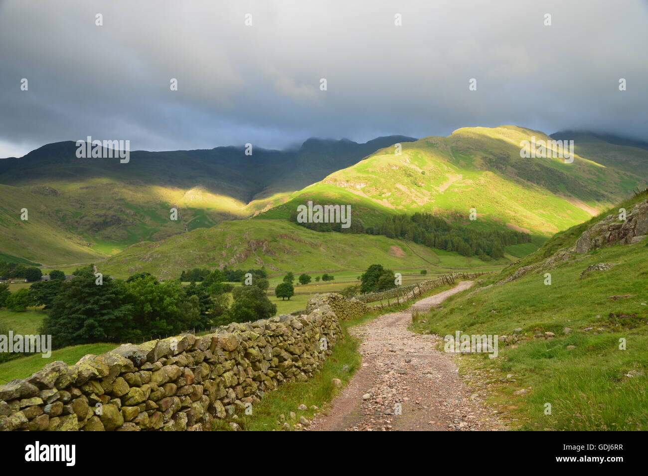 Weg in mickleden von langdale im englischen Lake District Stockfoto
