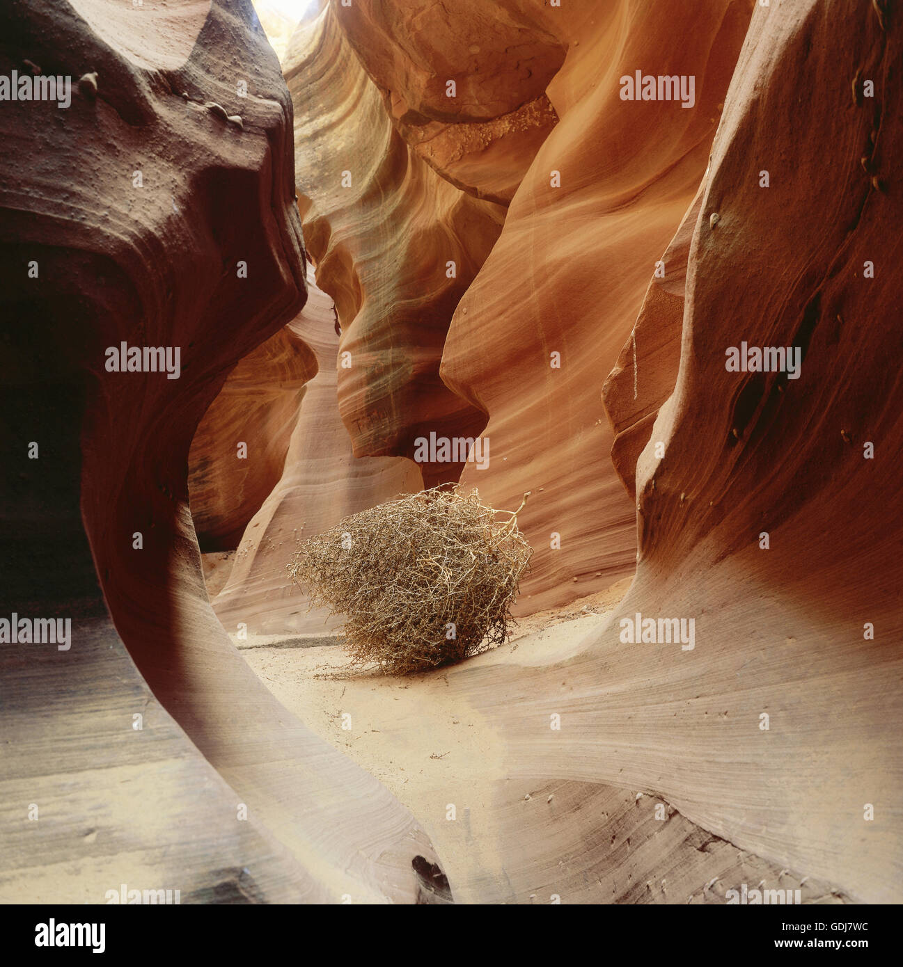 Geographie/Reisen, Usa, Arizona, Navajo Reservieren, Waterholes Canyon, Additional-Rights - Clearance-Info - Not-Available Stockfoto