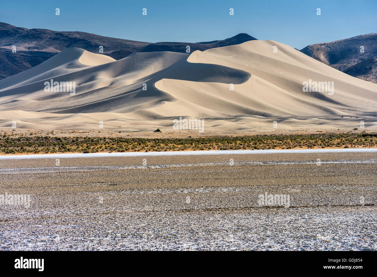 Dünen in Sand Mountain Recreation Area, Great Basin Desert, Blick vom The Loneliest Road (Hwy 50) in der Nähe von Fallon, Nevada, USA Stockfoto