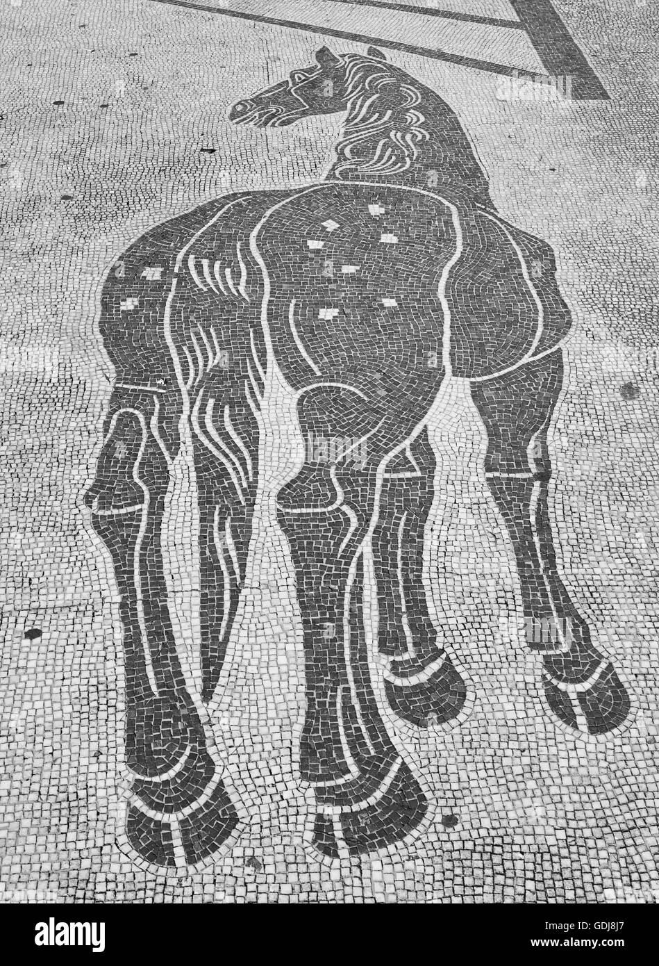 Mosaik des Pferdes auf Mussolinis Foro Italico Anschlüsse komplexe Rom-Latium-Italien-Europa Stockfoto