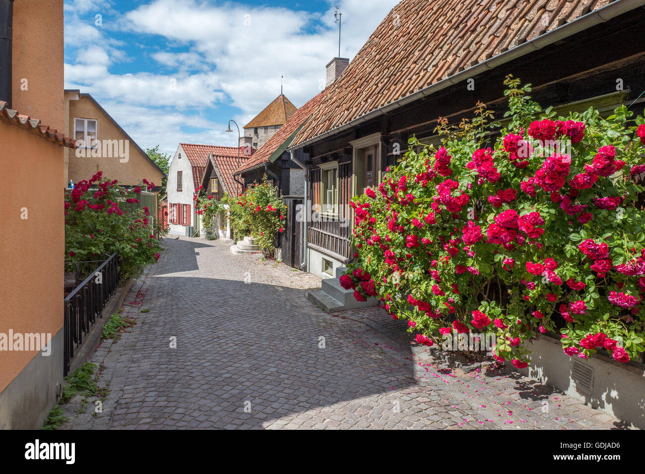 Historische Hansestadt Visby auf schwedischen baltischen Meer Insel Gotland Stockfoto