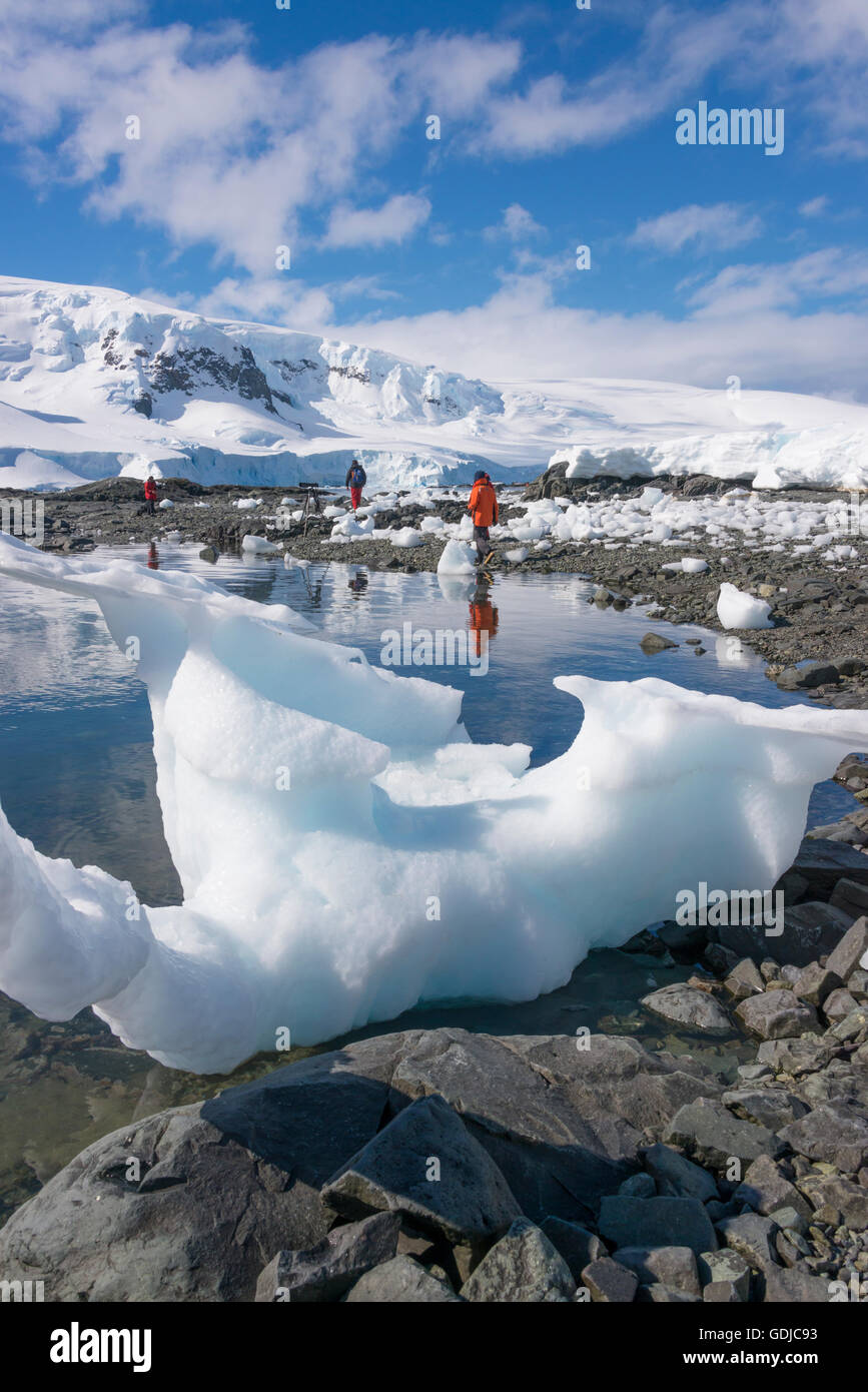 Touristen auf einem Strand umgeben von Gletschern in der Antarktis Stockfoto
