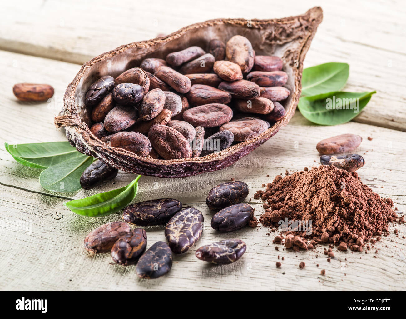 Kakaopulver und Kakaobohnen auf dem Holztisch. Stockfoto