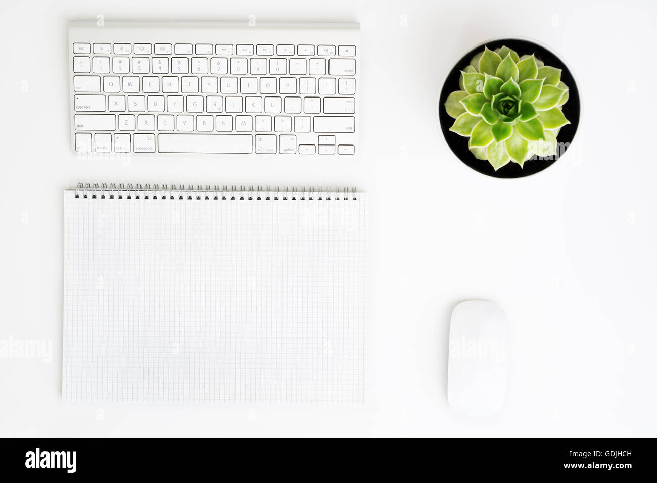 Weißer Schreibtisch Bürotisch mit drahtlosen Aluminium Tastatur, Papier, Maus und saftige Blume im Topf. Draufsicht mit Textfreiraum. FLA Stockfoto