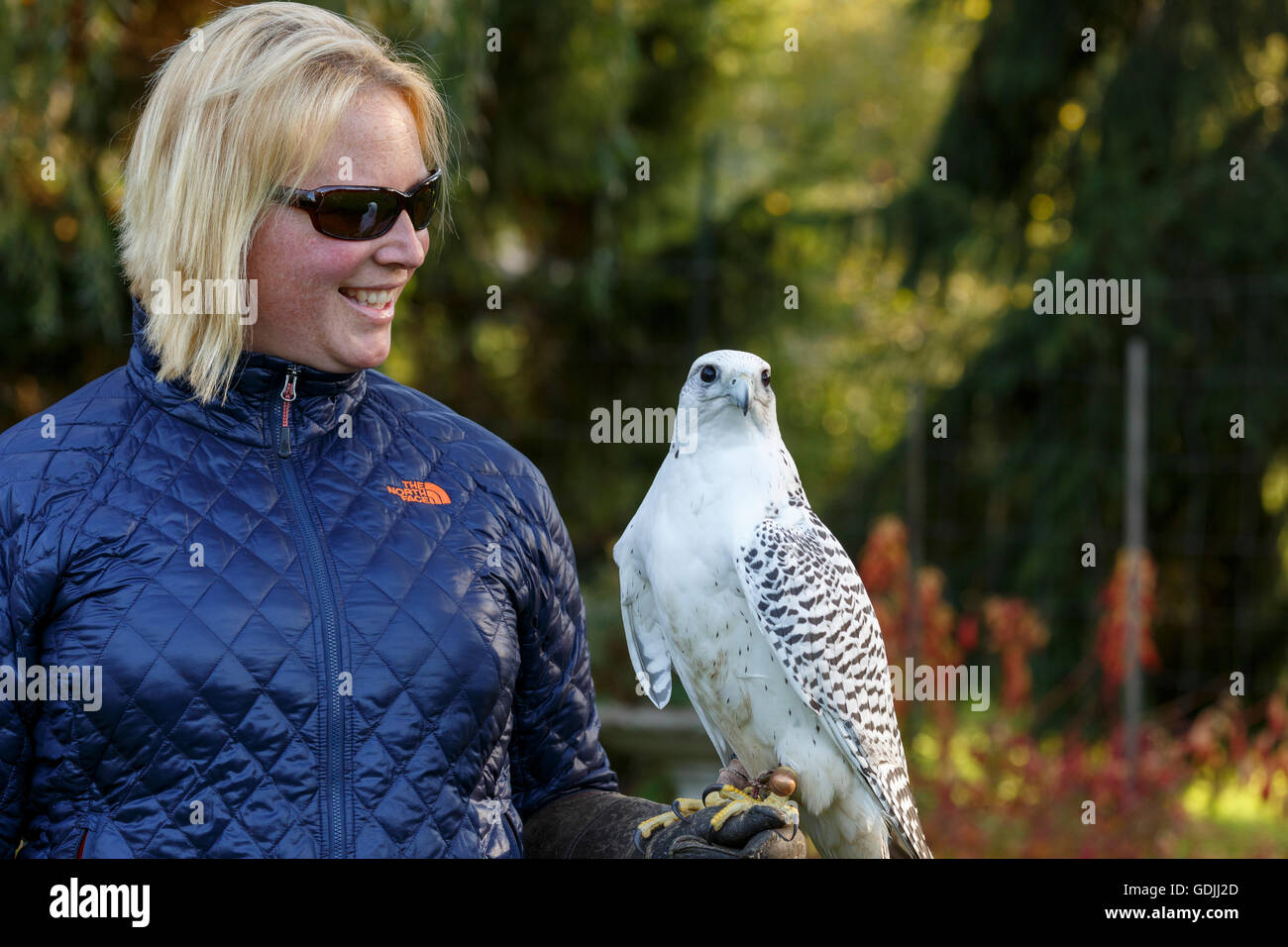 Junge Frau mit Sonnenbrille mit einem Gerfalken an ihrem Handgelenk Stockfoto