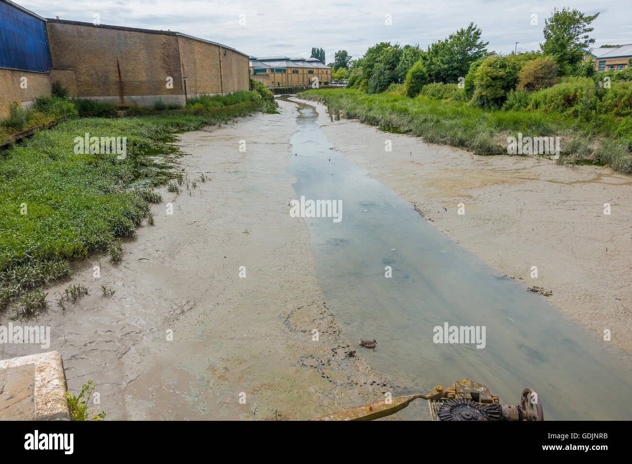 Faversham Creek Flut, Schlamm Banken Faversham Kent UK Stockfoto
