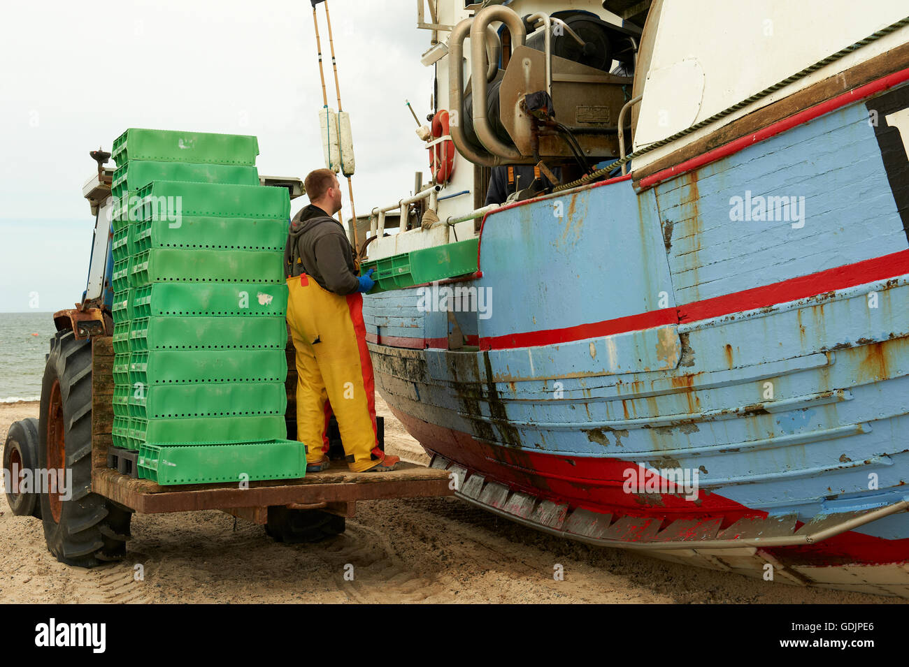 Fischerei Schneider am Strand von Thorup Strand, entladen Jütland, Dänemark, die Fische vom Boot im eiskalten Haus gestellt werden. Stockfoto