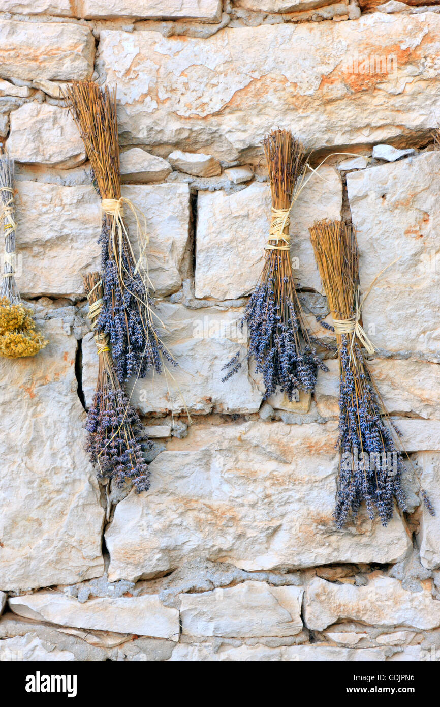 Lavendel Blumen auf der Steinmauer trocknen Stockfoto