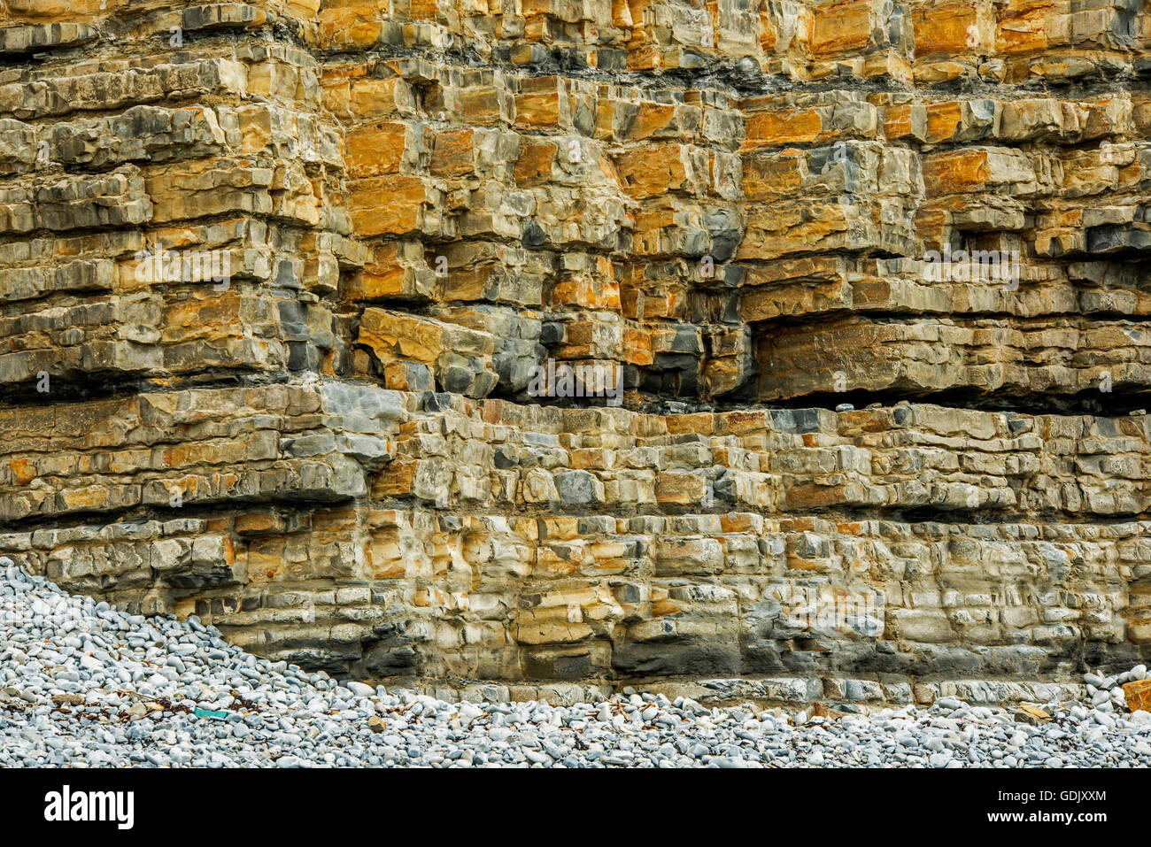Lias Kalksteinklippen und Steinschlag Beweise am Colhugh Strand, Llantwit Major, auf Glamorgan Heritage Coast, South Wales, Australia Stockfoto