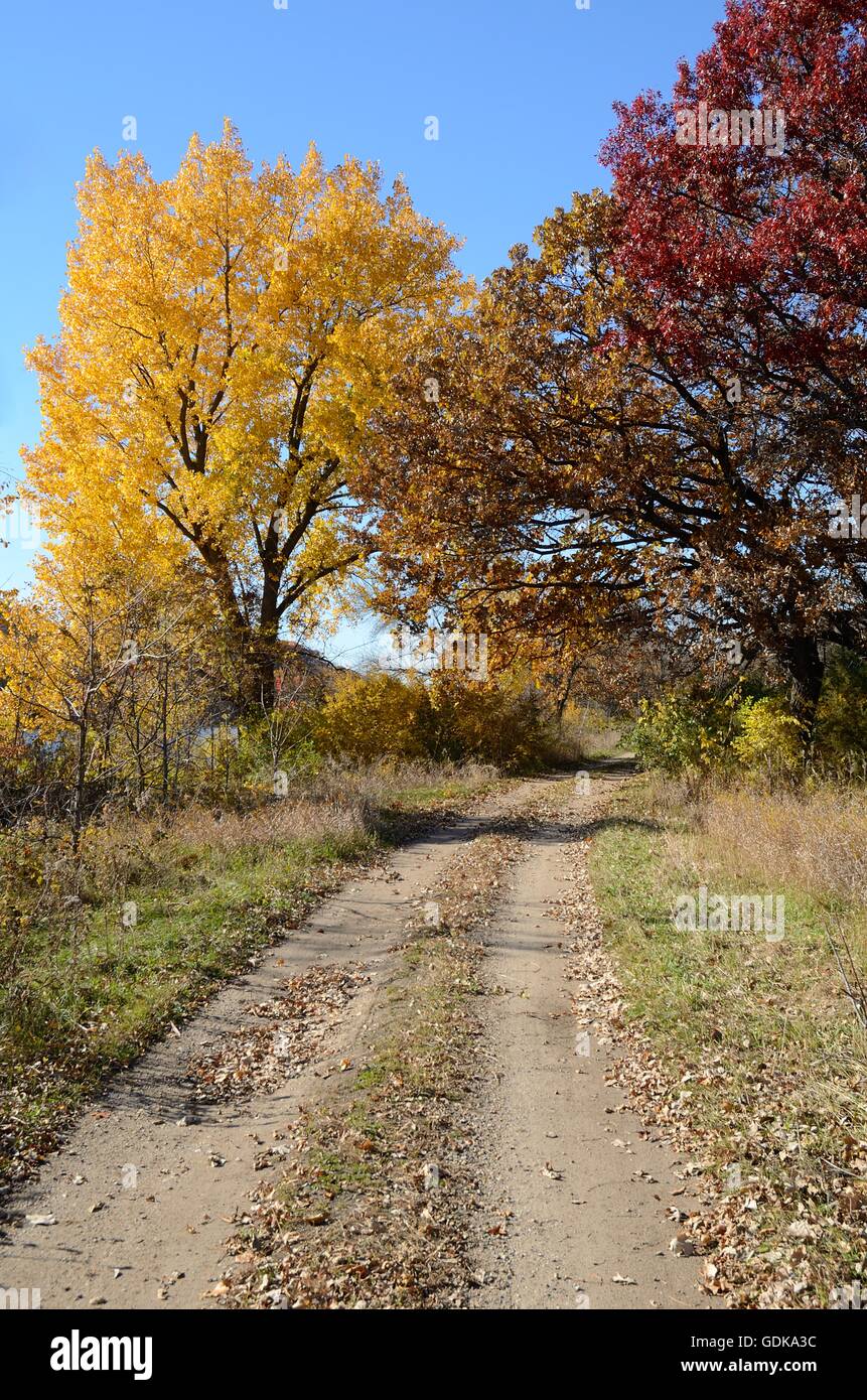 Herbstliche Farben über eine ländliche Schotterstraße an einem sonnigen Tag Stockfoto