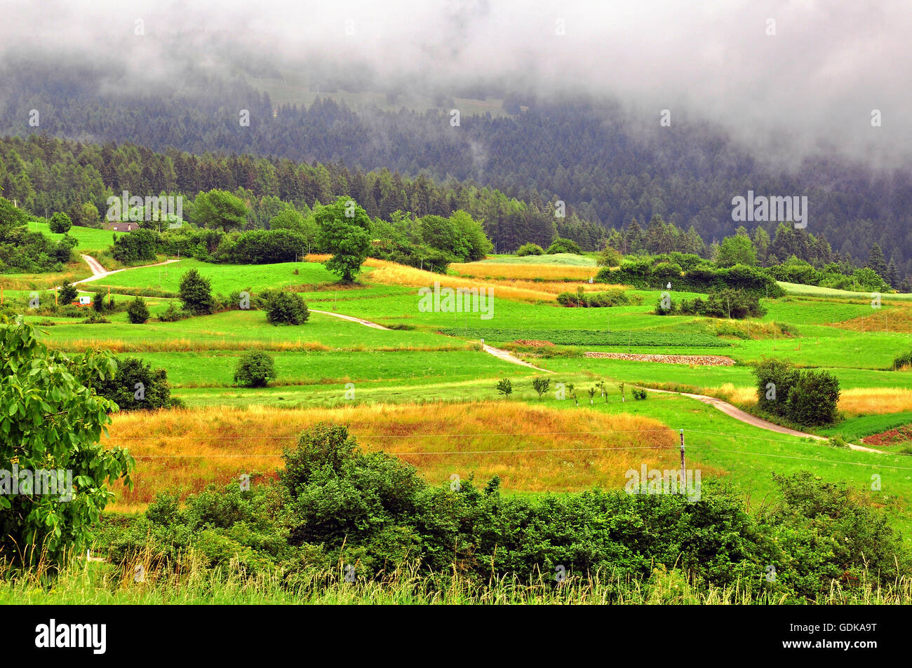 Alp in Dolomiten, Italien Stockfoto