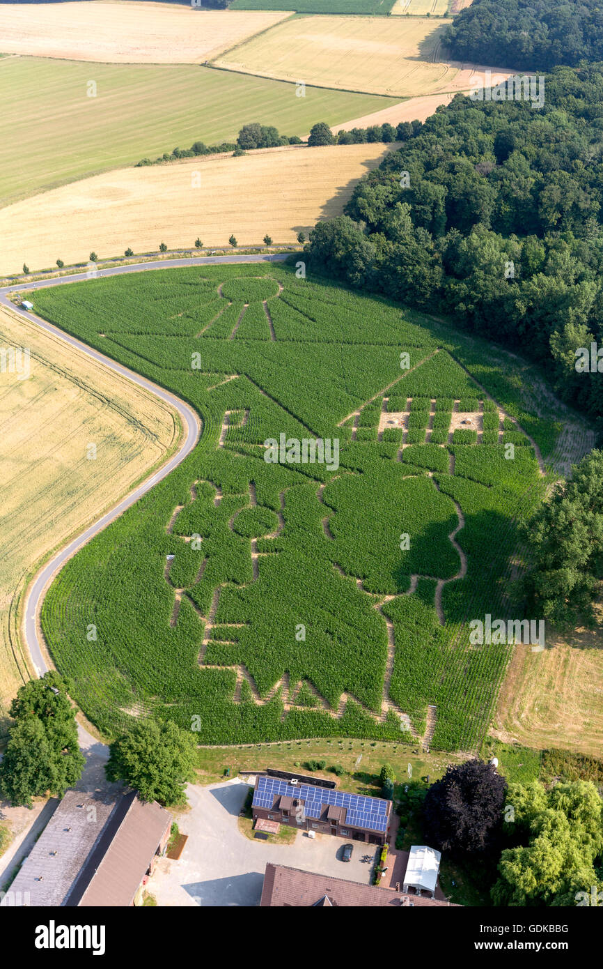 Luftaufnahme, Lünen, Ruhrgebiet, Mais Labyrinth, Lünen Cappenberg, Ruhr Gebiet, Nord Rhein