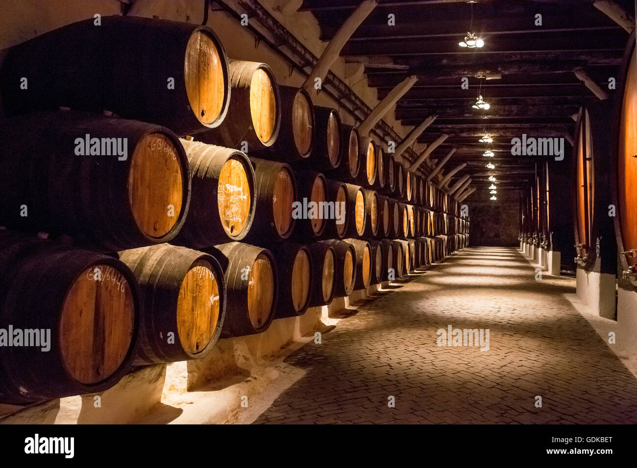 Portwein Fässer, Weinkeller Weinkeller Sandeman in Gaia, Porto, Vila Nova De Gaia, Porto District, Portugal, Europa, Reisen, Stockfoto