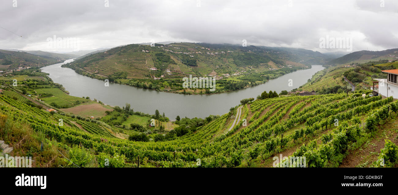 Wein-Bereich mittlerer Fluss Douro, Douro Tal, Weinberg, Panorama, Santa Cristina, Distrikt Vila Real, Portugal, Europa, Reisen, Stockfoto
