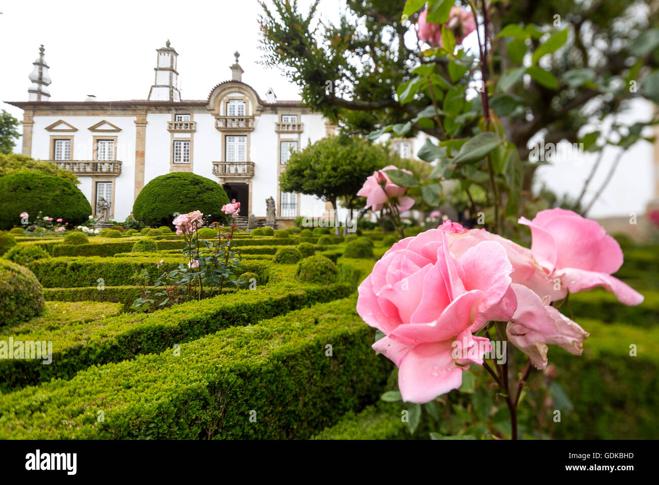 Gärten des Palastes, rosa Rosenblüten, Casa de Mateus, Palast mit großen Gärten, Vila Real, Vila Real Bezirk,, Stockfoto