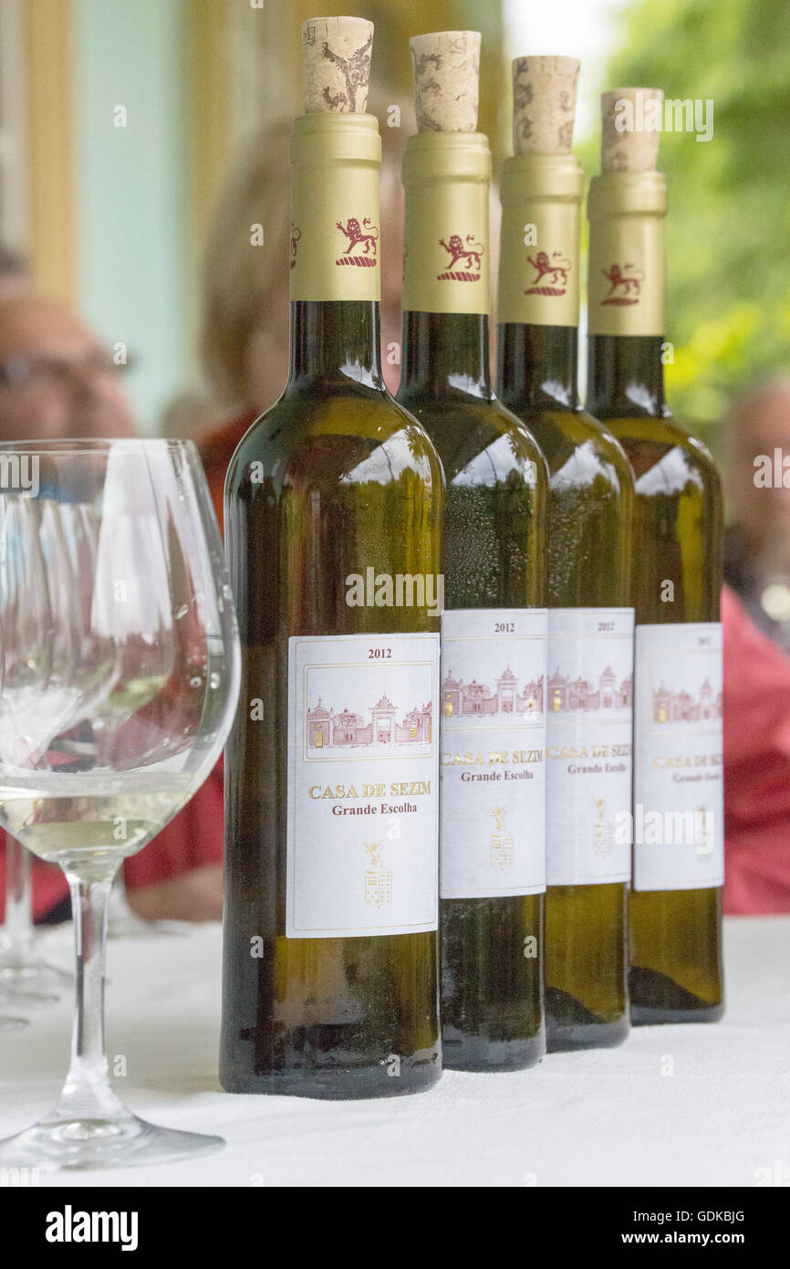 Weinprobe mit dem Weingut Besitzer Jose, Weinflaschen, lokale Weine, Casa de Sezim, Camporeal Weinberg in Minho, Garten Stockfoto