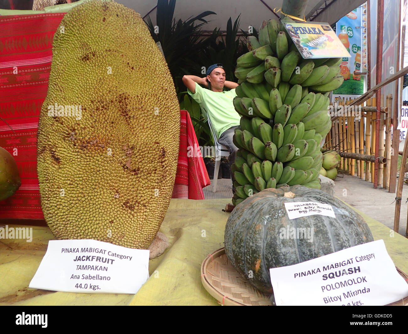 Koronadal, Philippinen. 17. Juli 2016. Die größten und schwersten Agrarprodukte von South Cotabato sind während der 50. T'nalak Festival Kredit präsentiert: Sherbien Dacalanio/Pacific Press/Alamy Live News Stockfoto