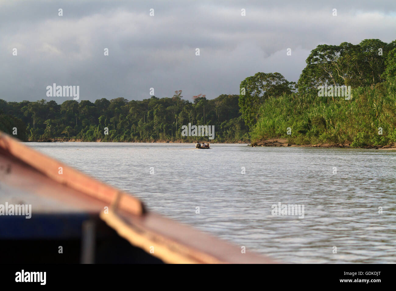 Madre de Dios Fluss, Amazonas, Peru Stockfoto