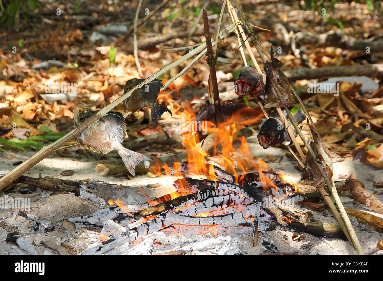 Natürliche Weise, Fisch zu grillen. Nutzung des Waldes. Kochen Aktivitäten. Stockfoto