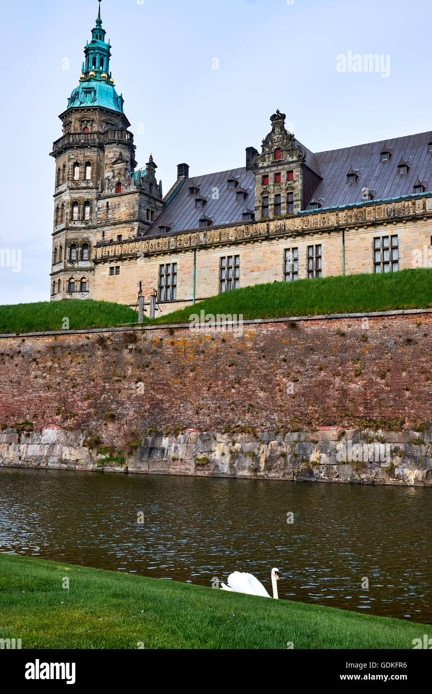 Turm am Schloss Elsinore in Dänemark, steigt über den Graben mit einem weißen Schwan herumschwimmen Stockfoto