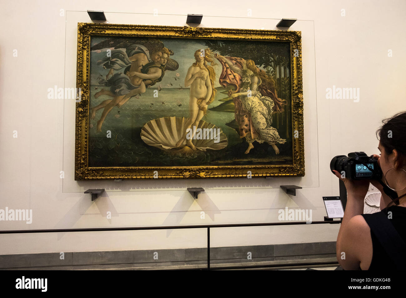 Frau Fotos Sandro Botticelli Gemälde die Geburt der Venus in der Galleria Degli Uffizi, Florenz, Toskana, Italien Stockfoto
