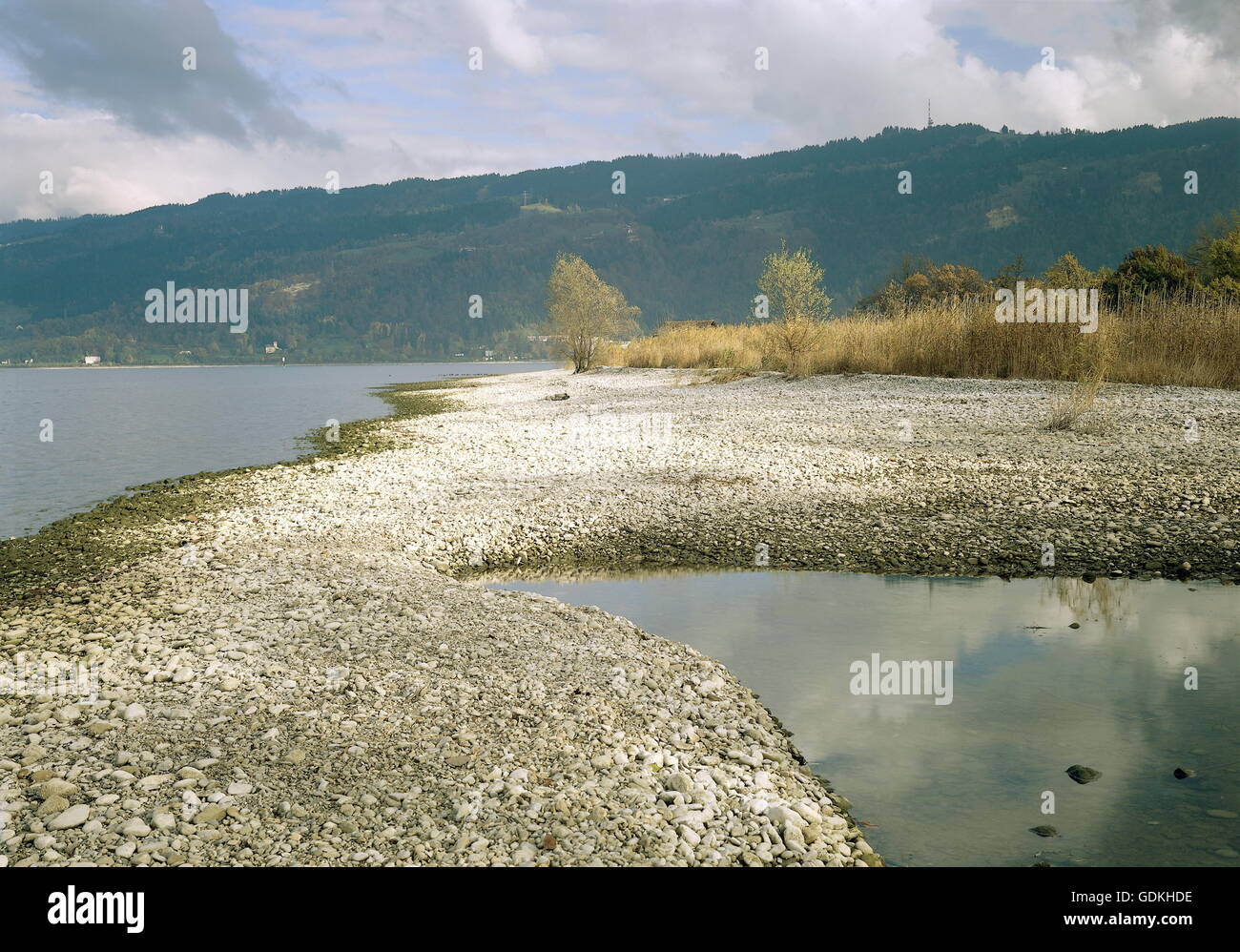 Geographie / Reisen, Österreich, Vorarlberg, Landschaften, Uferlandschaft des Bodensees in der Nähe von Kloster Mehrerau bei Bregenz, Pfänder (Peak), Stockfoto