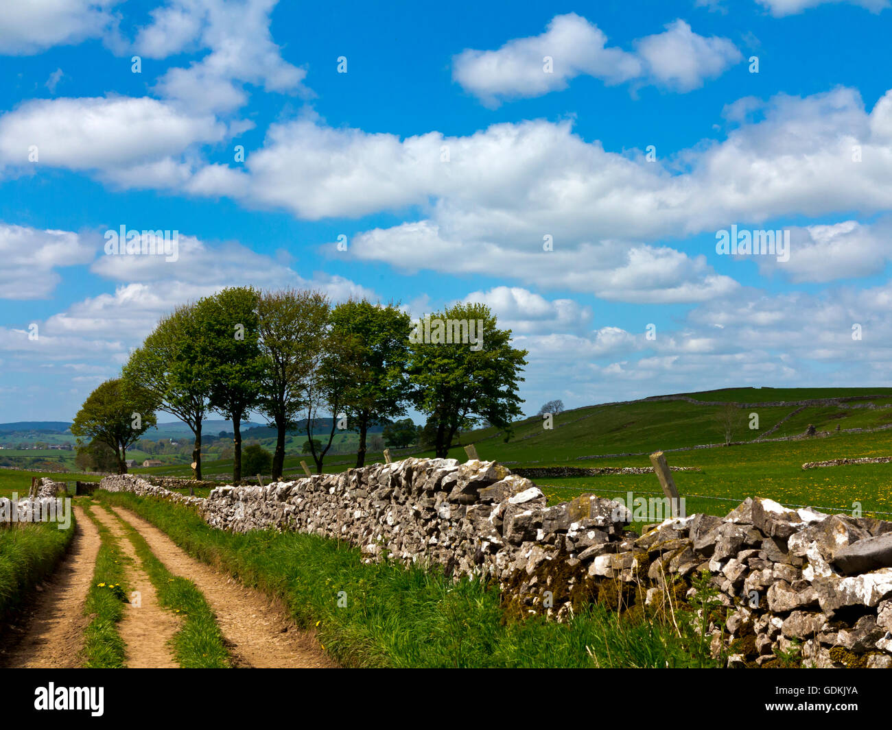 White Peak District National Park-Landschaft mit Bäumen Bauernhof Spur und Trockenmauern Mauern in der Nähe DalesEngland Hartington Derbyshire UK Stockfoto