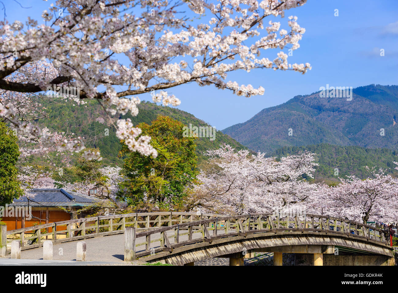 Arashiyama, Kyoto, Japan in der Frühjahrssaison. Stockfoto