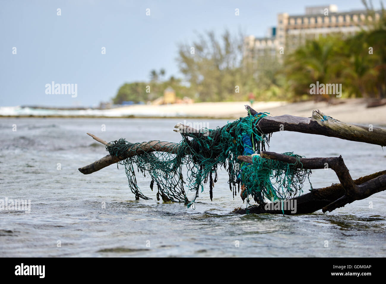 Die kleinen Antillen Barbados Pfarrkirche Sankt Michael Westindien Hauptstadt Bridgetown Drill Hall Beach gefallen Baum LKW in Wasser fis Stockfoto