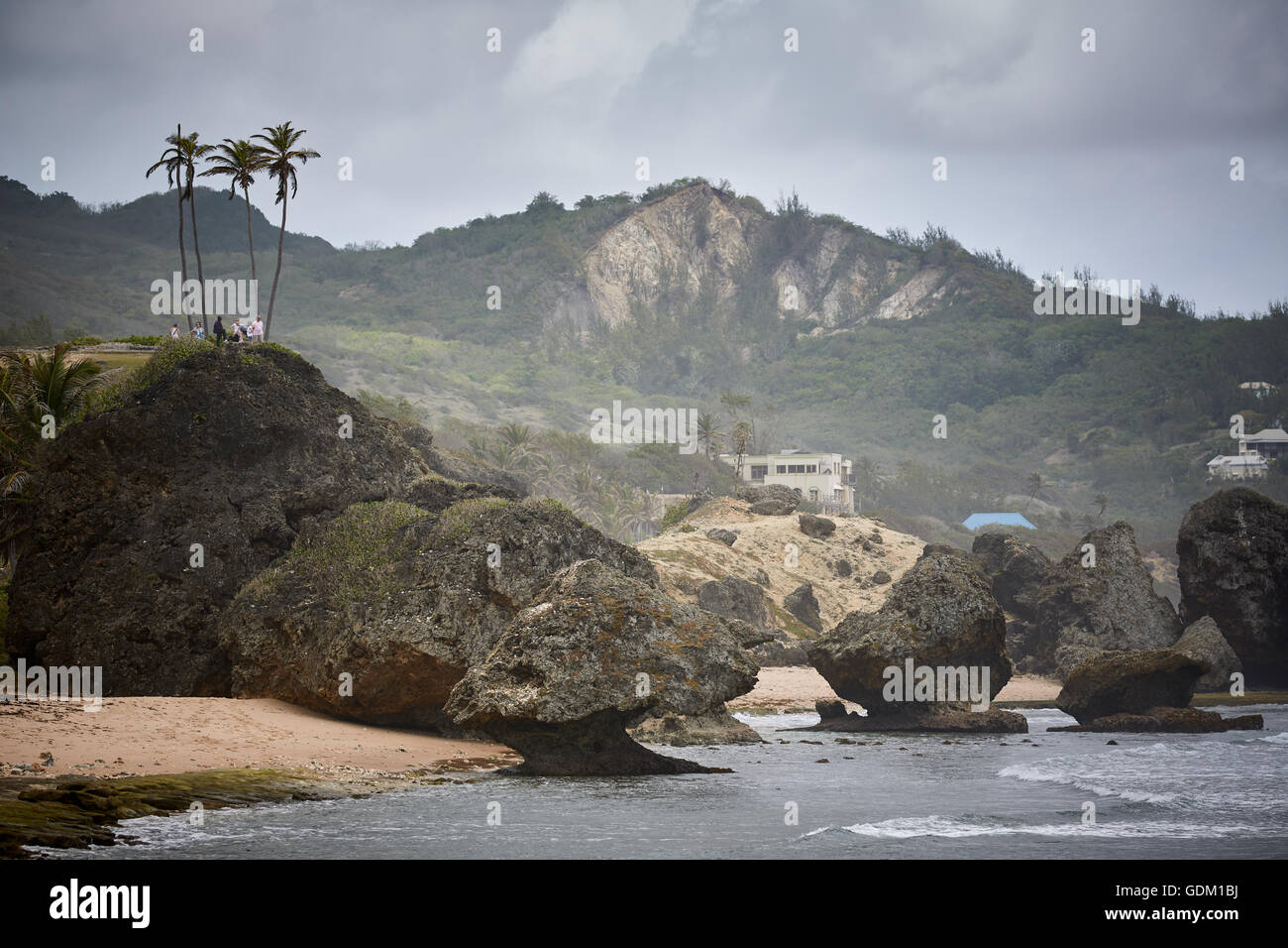 Die kleinen Antillen Barbados Pfarrkirche Sankt Michael Westindien Hauptstadt Bridgetown Barbados goldenen Sandstrand mit großen Stein ro Stockfoto