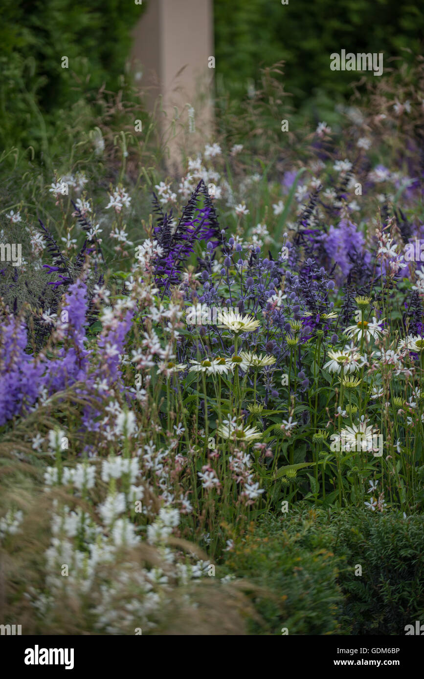 Tatton, UK. 18. Juli 2016. Miced Pflanzen bei der RHS Tatton Park Flower Show 2016 Credit: Jonathan Ward/Alamy Live News Stockfoto